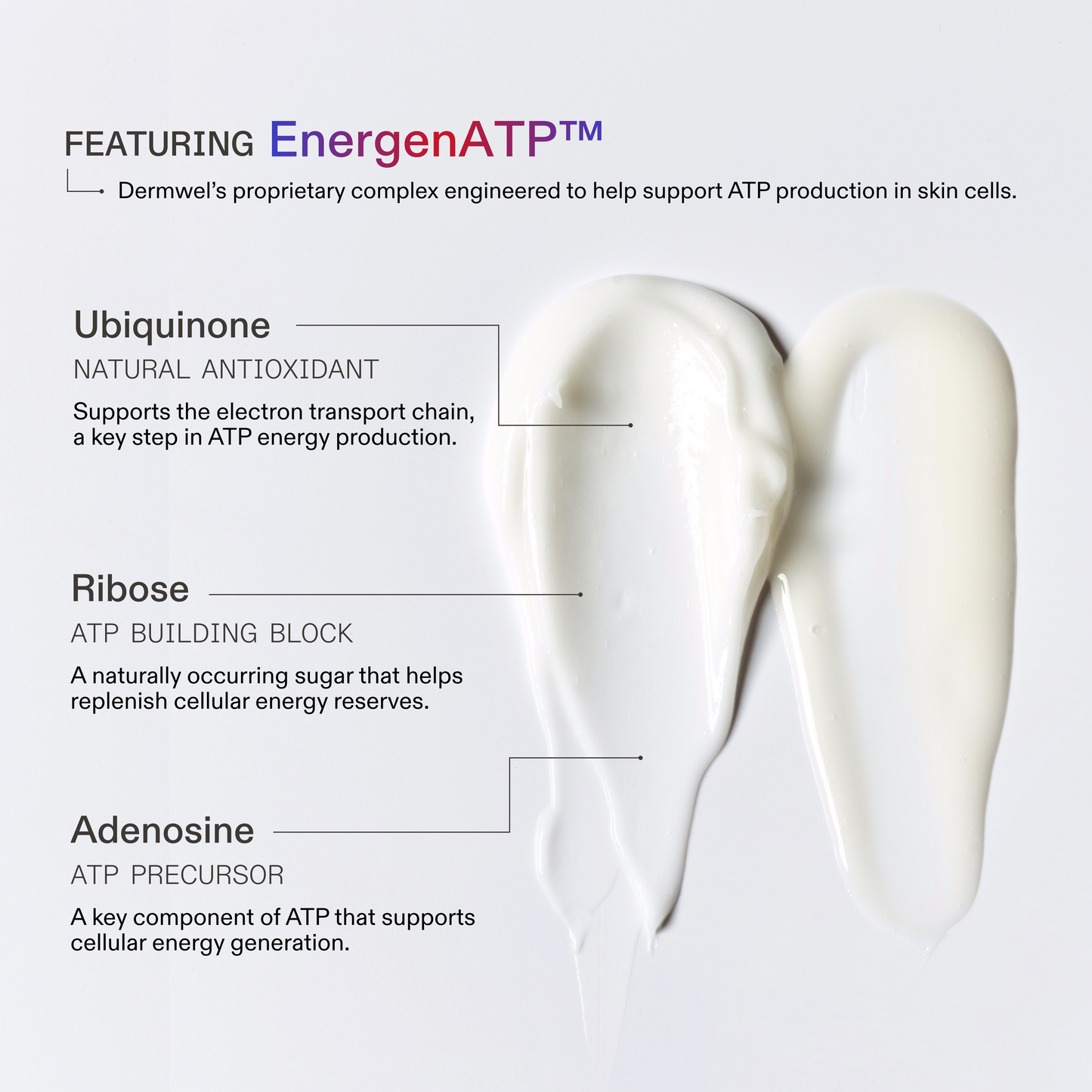 Dermaboost Moisture Complex